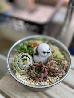 タナカタニクのイメージ