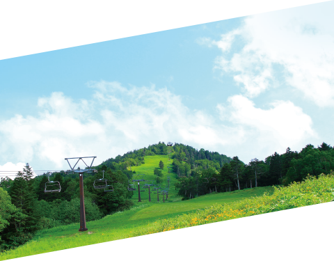 グリーンシーズン アクティビティ 上信越国立公園 志賀高原の公式サイト