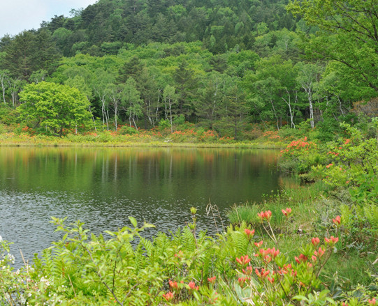 UNESCO Eco Park Certification image