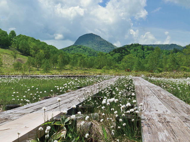 Tanohara Marsh