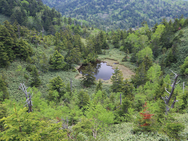 Oninosumo Pond