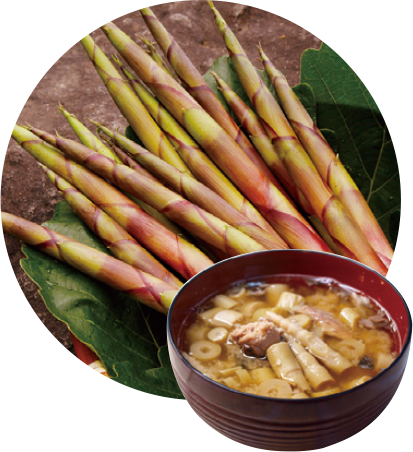 Green Season June : Bamboo Shoot Fair