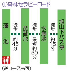 コース順路