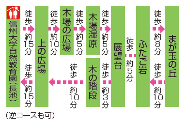 コース順路