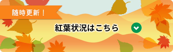 紅葉状況はこちら