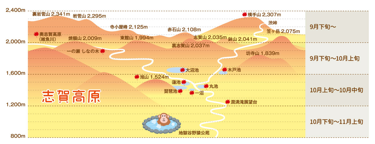 紅葉情報 上信越高原国立公園 志賀高原の公式サイト