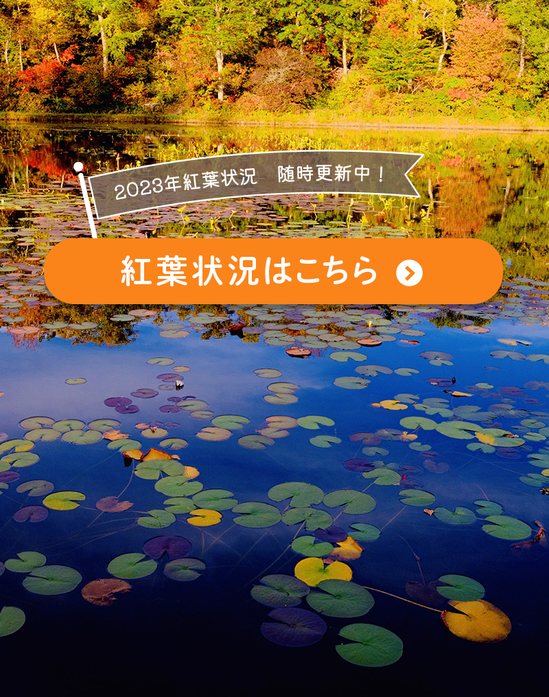 錦秋のクラフトフェアin志賀高原