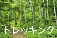 トレッキングコース状況