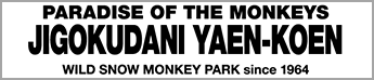 PARADISE OF THE MONKEYS｜JIGOKUDANI YAEN-KOEN｜WILD SNOW MONKEY PARK since 1964