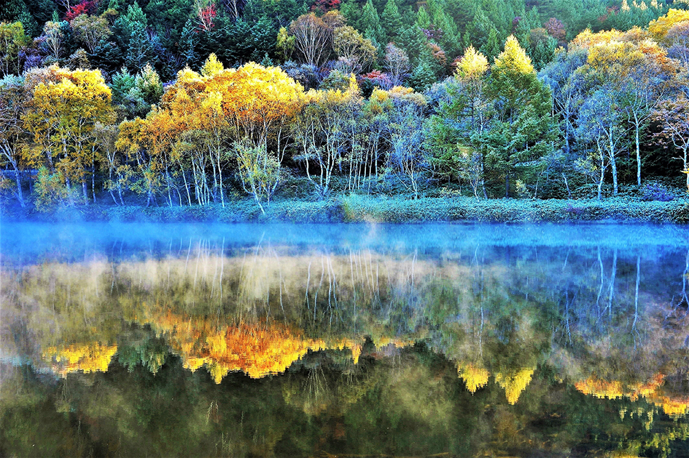 木戸池・田ノ原湿原の画像