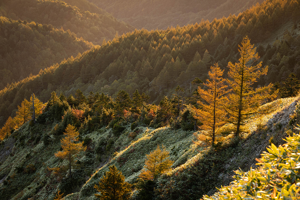 Yokoteyama・Shibutougeの画像