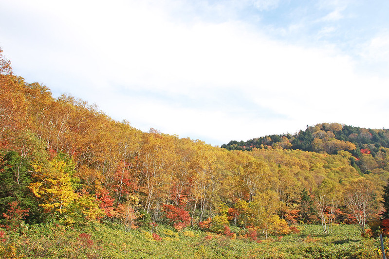 Kumanoyu・Kasagatake・Hiratokoの画像