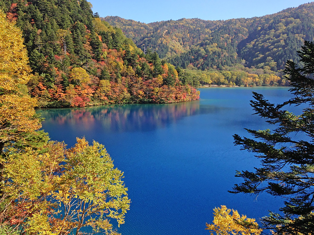 四十八池・大沼池の画像