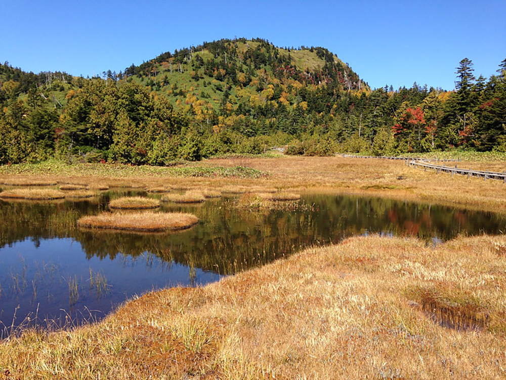 Shijuhachiike・Onumaikeの画像