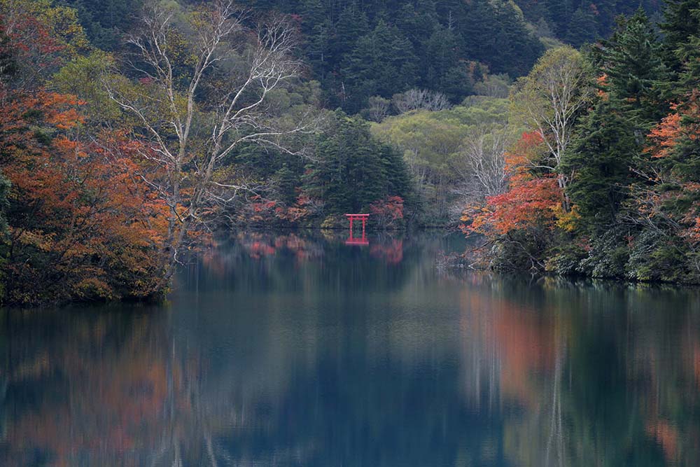 四十八池・大沼池の画像