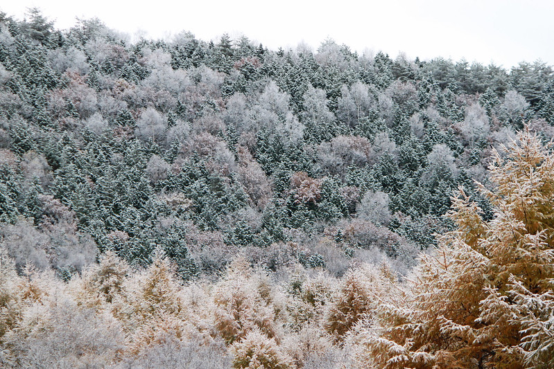 熊の湯・笠ヶ岳（笠岳）・平床の画像