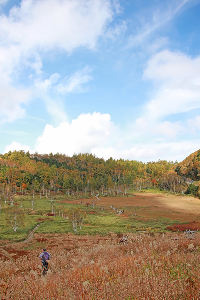 木戸池・田ノ原湿原の画像