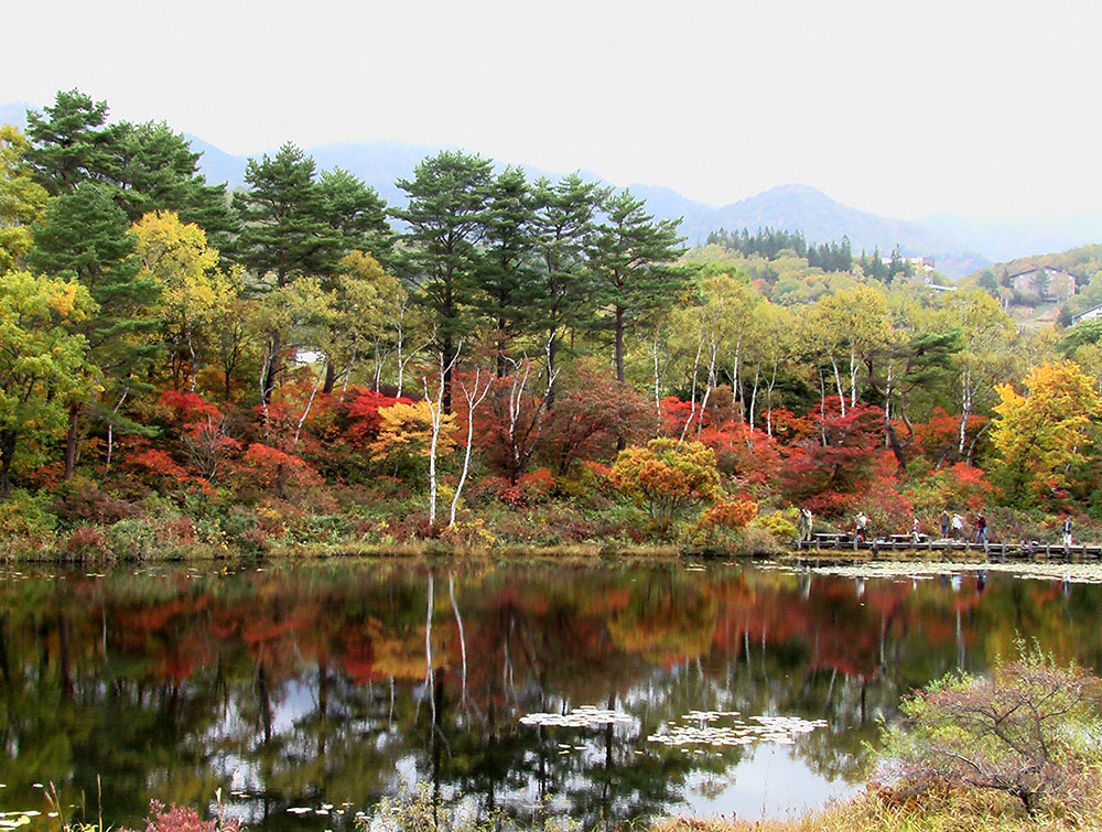 一沼の画像