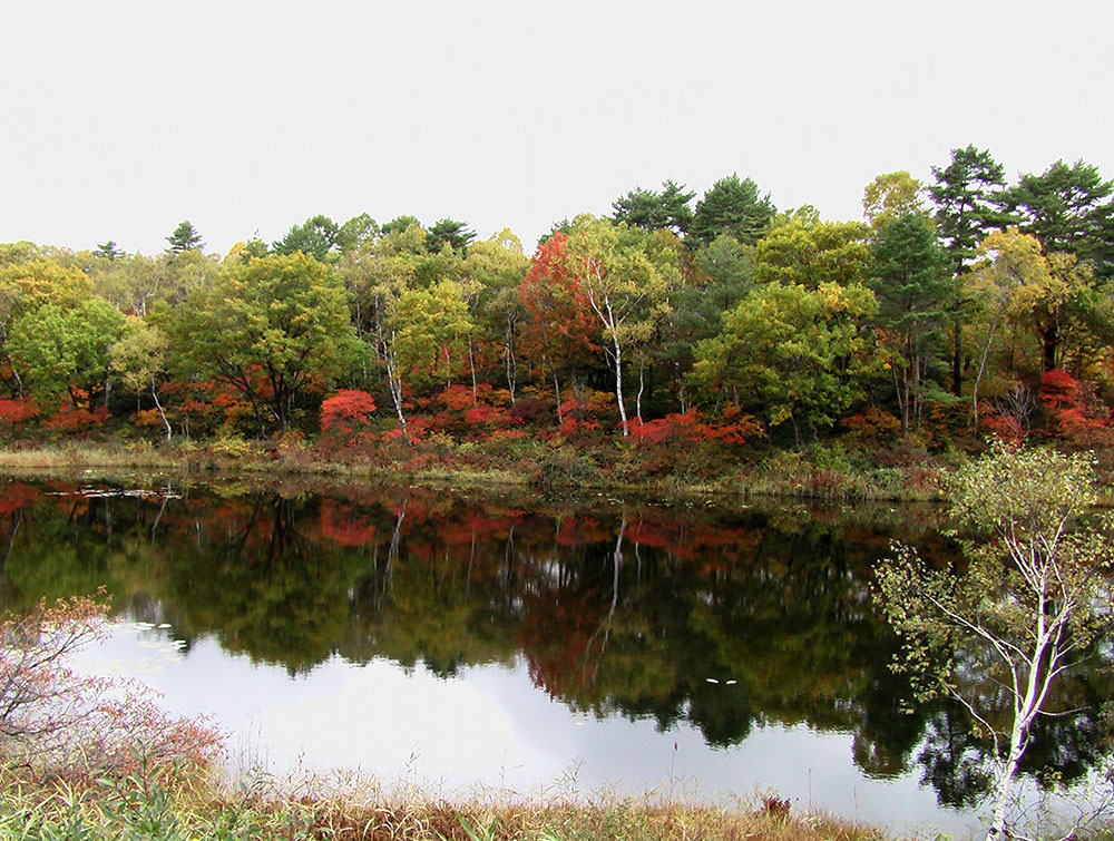 一沼の画像