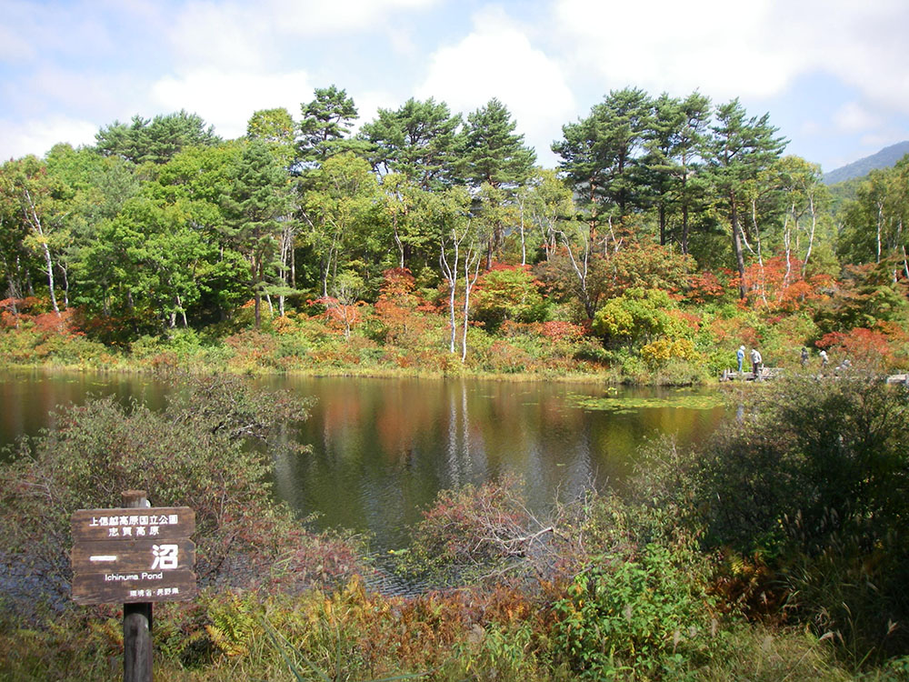 一沼の画像