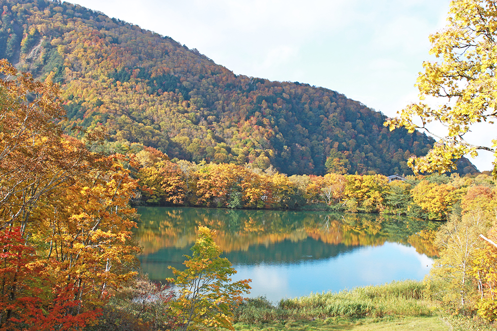 琵琶池・丸池・蓮池の画像