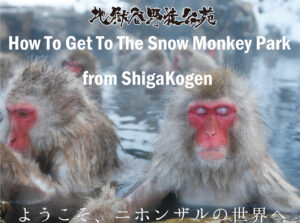 Access to Jigokudani Snow Monkey Park from Shiga Kogen