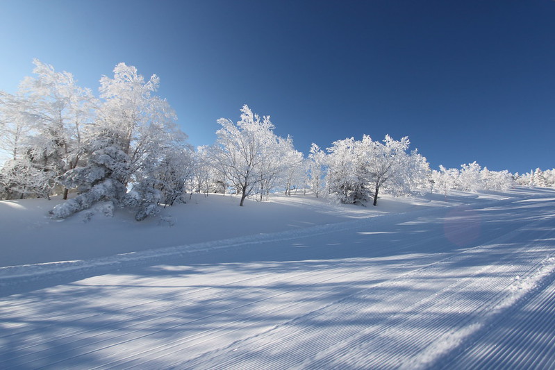 爽快にすべろう！！志賀高原のおすすめ圧雪バーン特集