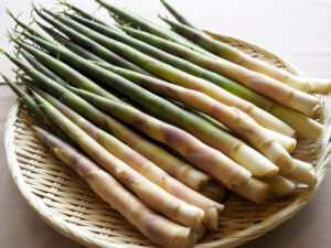 根曲がり竹 Amazon | 根曲がり竹 姫竹 山菜 天然物 約300g 長野県産 | ファーム