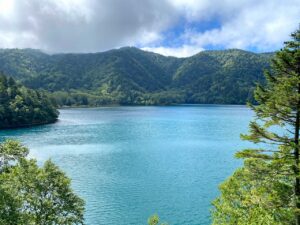 大沼池の水位が戻りました！