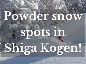Powder snow spots in Shiga Kogen!