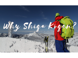 The reason why Shiga Kogen is special!