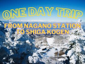 One day trip plans from Nagano station to Shiga Kogen!
