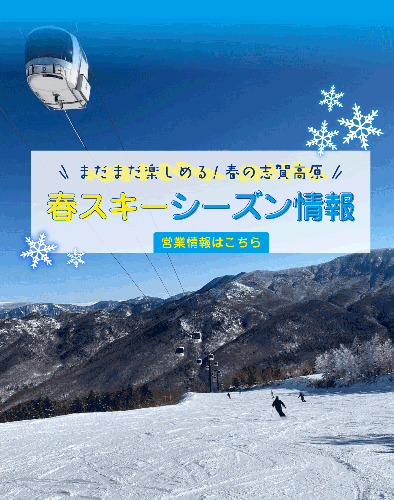 春スキーシーズン情報