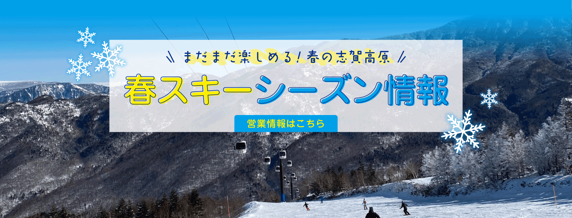 春スキーシーズン情報