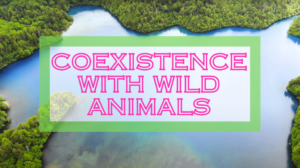 Beware of Wild Animals