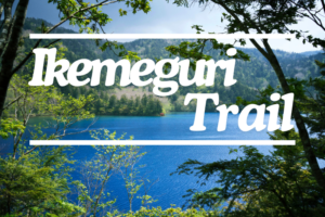 One of the Most Popular Trails in Shiga Kogen