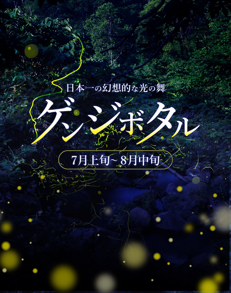 日本一の幻想的な光の舞　ゲンジボタル