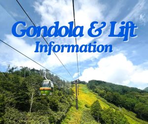GREEN: Gondola and Lift Information