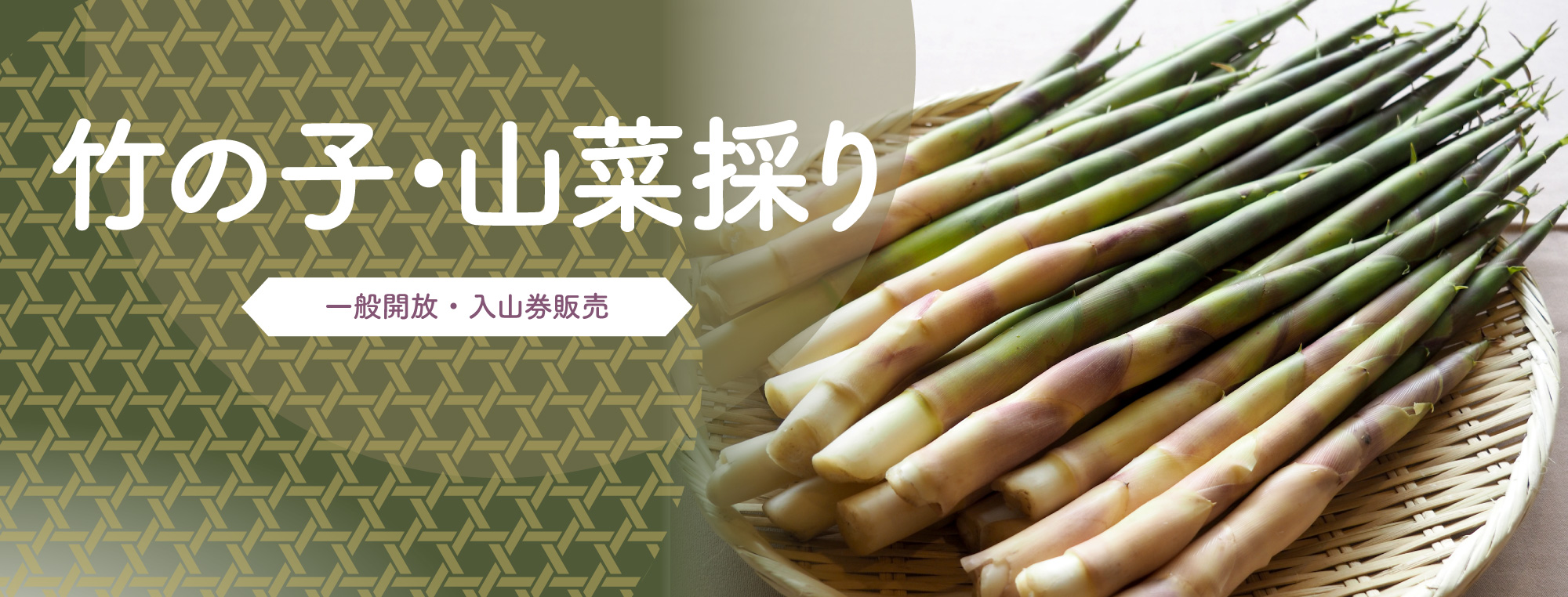 竹の子・山菜採り【一般開放・入山券販売】