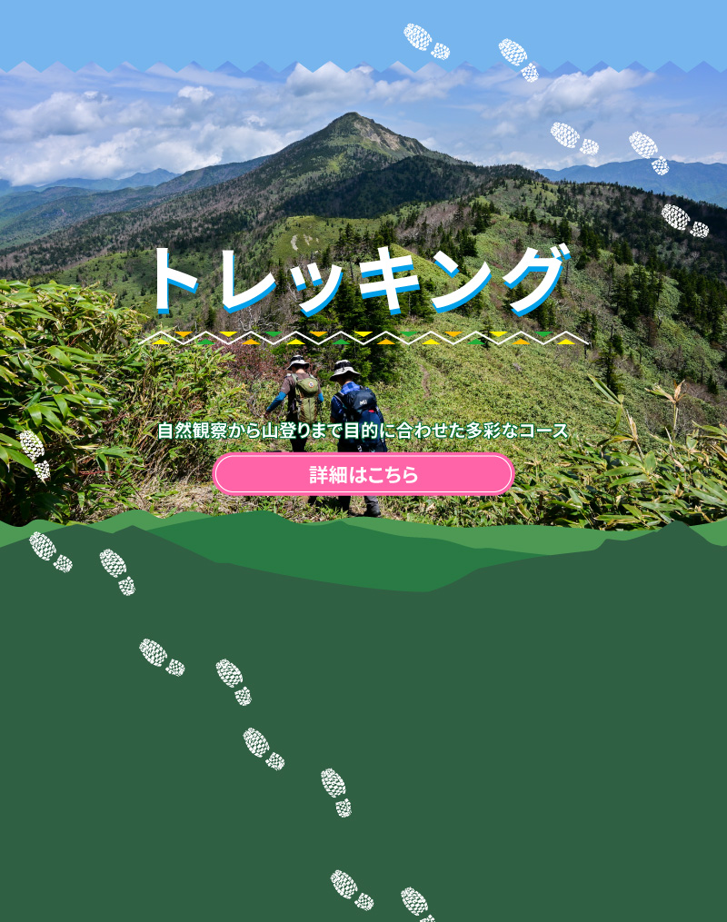 トレッキング