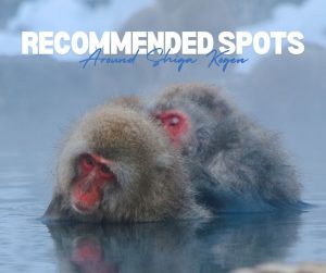 Recommended Spots Around Shiga Kogen