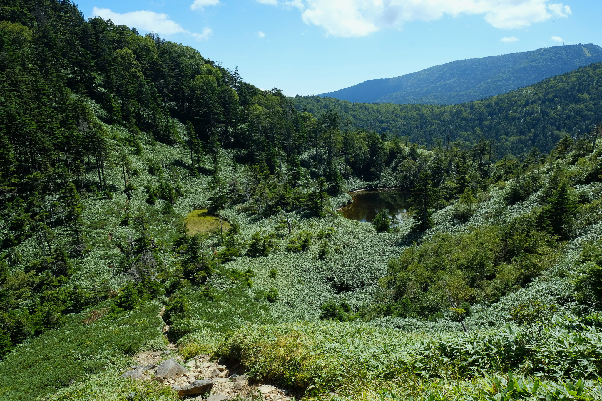 Oninosumo Pond