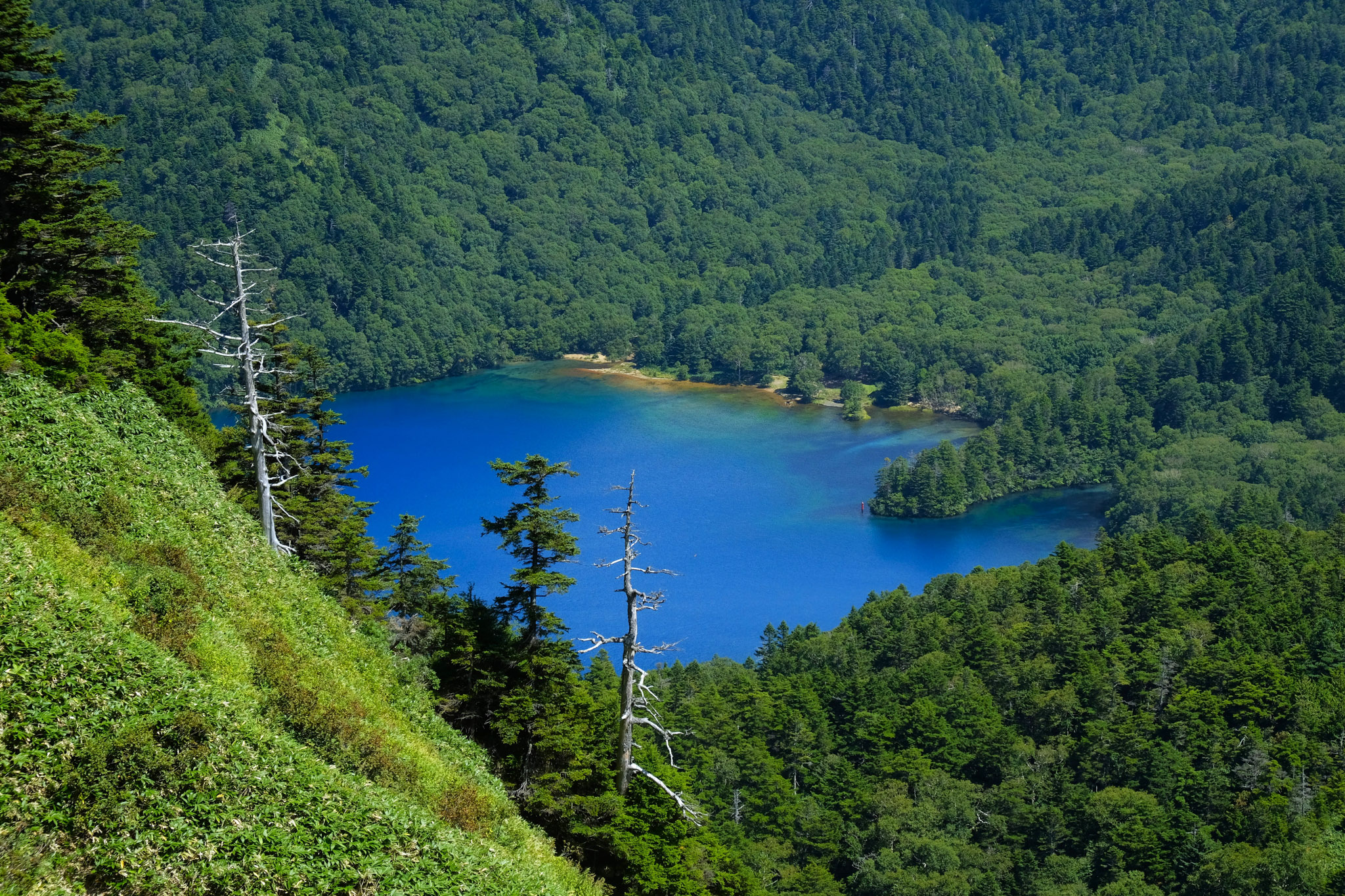Mt. Shiga Trail