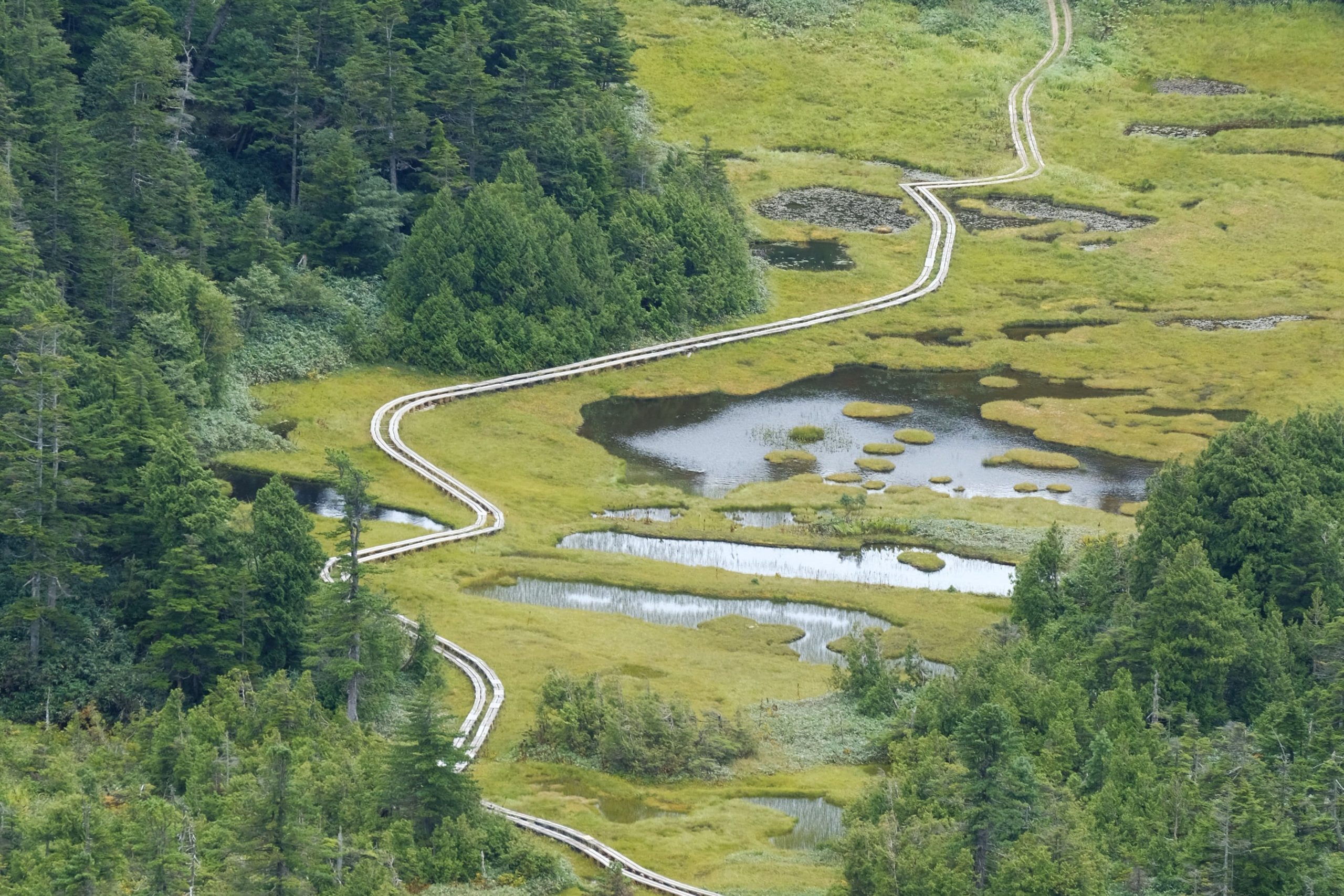 Shijuhachi-ike Wetland