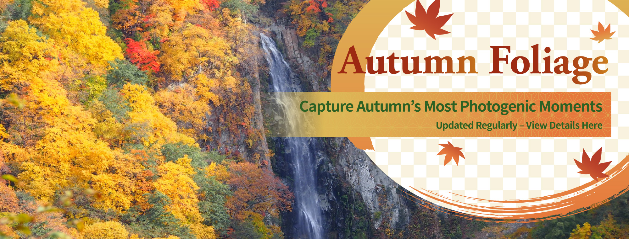 Autumn Foliage