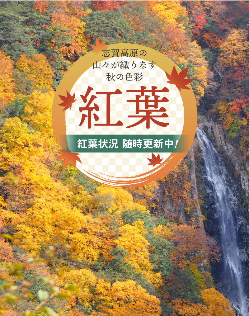紅葉状況随時更新中！紅葉情報はこちら