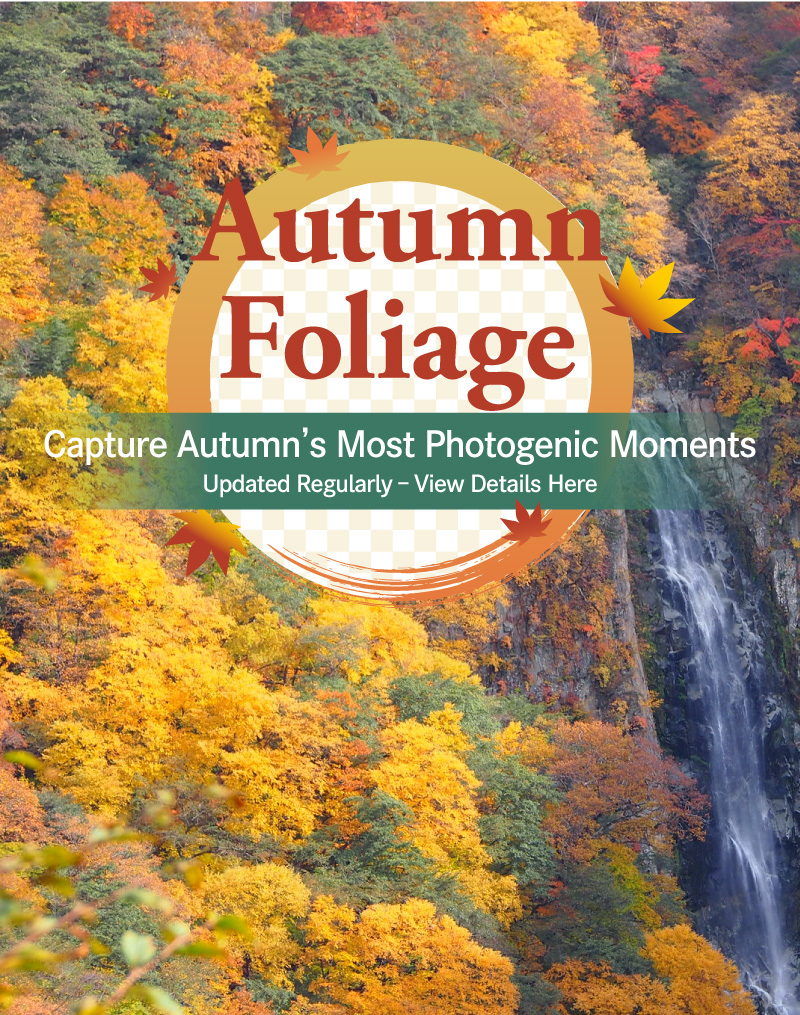 Autumn Foliage
