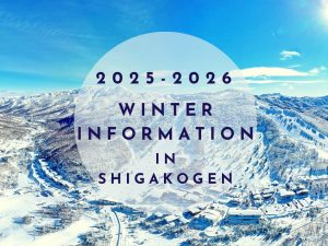 2025-2026冬期 志賀高原総合情報