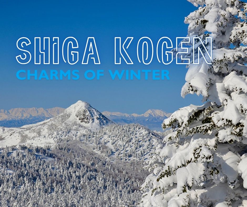 Shiga Kogen Charms of Winter