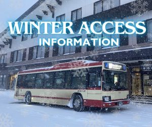 Winter Bus Access Information